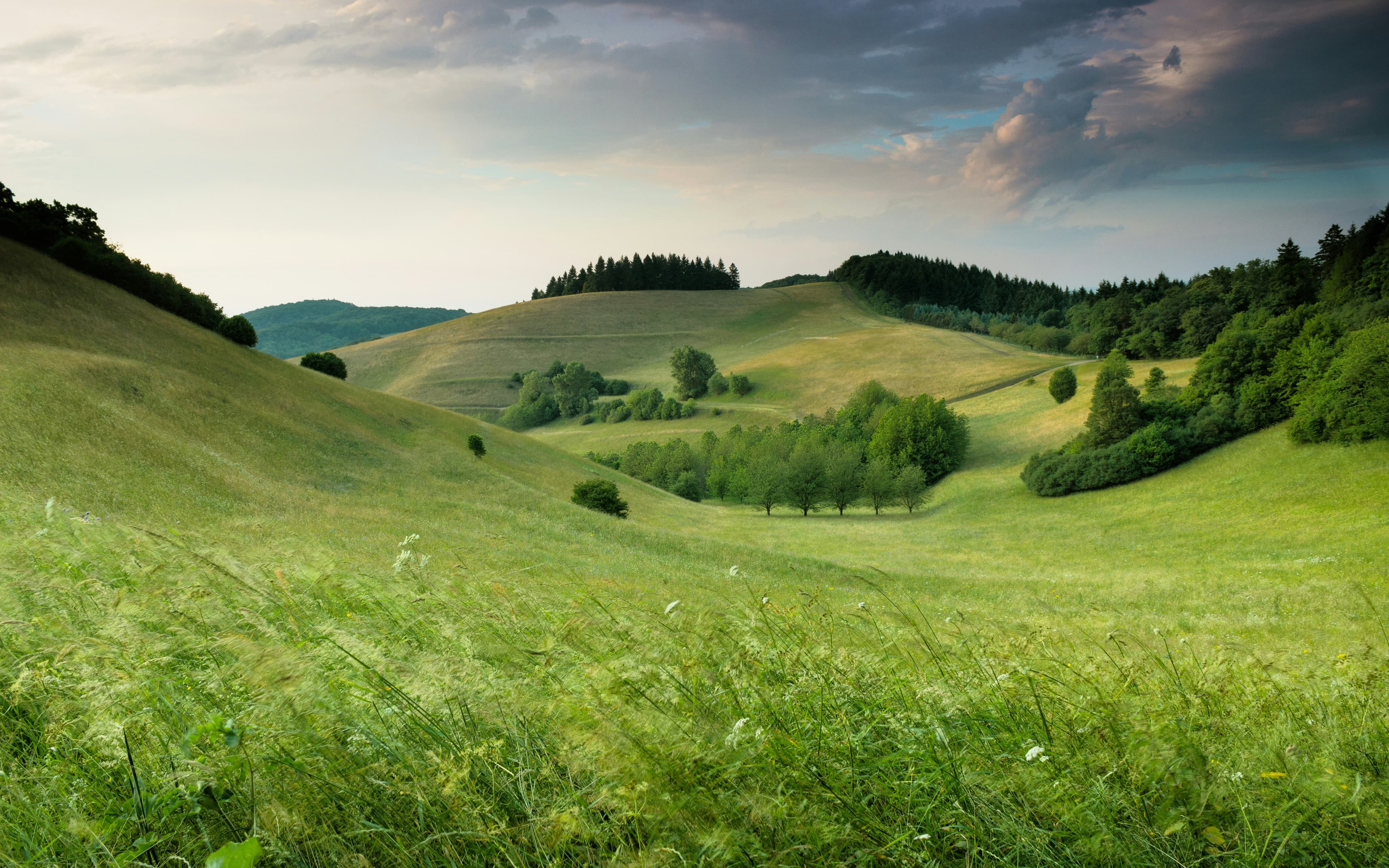 Scenic Northeast India landscape